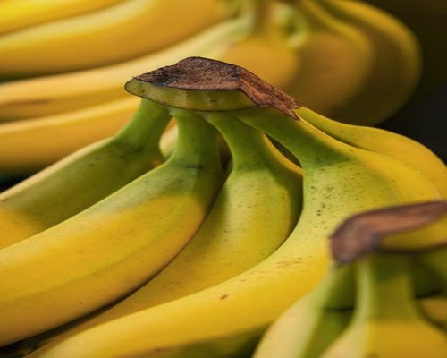 Close up of ripe yellow bananas
