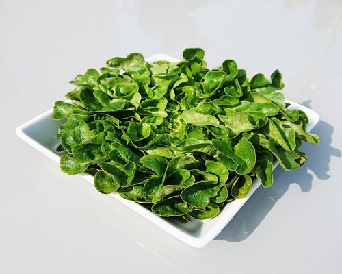 Fresh green spinach leaves in a bowl